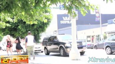 Αστεία βίντεο – Αστεία αποτυχία – Κορυφαία συλλογή Troll