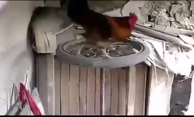 Alindog ng Balyena, Haha, Pinoy Αστεία βίντεο Alindog ng Balyena, Haha, Pinoy Αστεία βίντεο