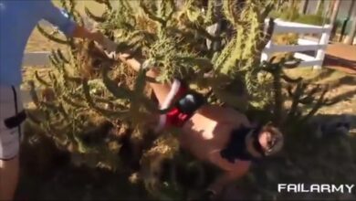 Αστεία επίπονα βίντεο – Καλύτερη συλλογή αποτυχιών