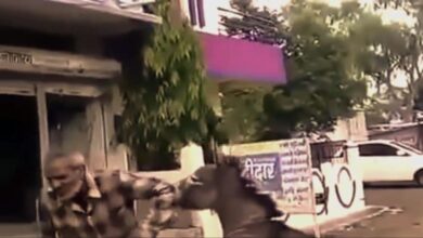 Αστεία βίντεο ζώων γαϊδουριών 2016