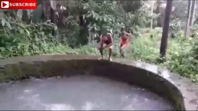 WHATSAPP FUNNY VIDEOS. |  αστεία βίντεο .  WHATSAPP COMEDY VIDEO .funny CLIPS