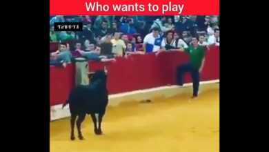 Αστείο βίντεό tiktok viral βίντεο