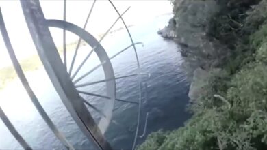 ΔΙΑΣΚΕΔΑΣΗ ΕΙΚΟΝΩΝ VIRAL !!