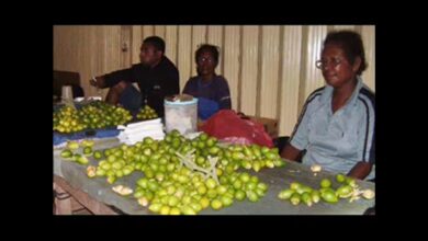 MOB Cerita Lucu khas Papua-Αστεία βίντεο