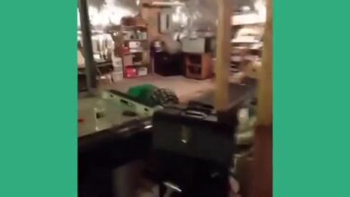 Phillip R Wasserman – Funny Vine Videos Trust