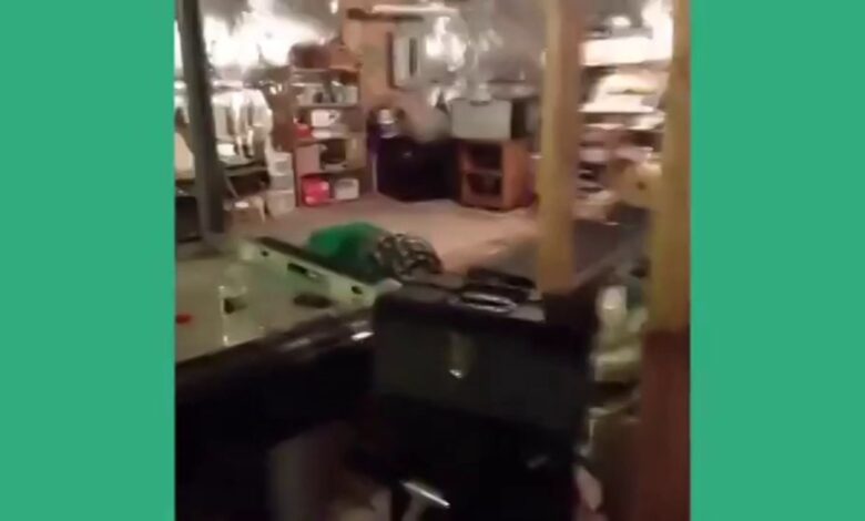 Phillip R Wasserman – Funny Vine Videos Trust