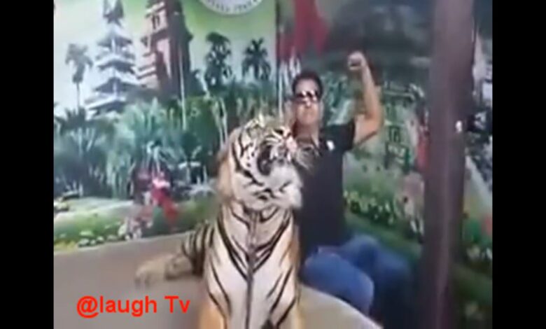 Whatsapp Most Viral Funny Videos 2017 Funny Pranks Try Not To Laugh Challenge