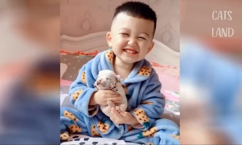 OMG So Cute Τα καλύτερα αστεία βίντεο με γάτες
