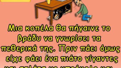 Μια κοπέλα θα πήγαινε το βράδυ να…