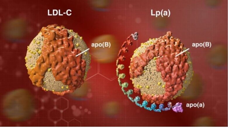 Πειραματικό φάρμακο για την λιποπρωτεΐνη (a) δίνει ενθαρρυντικά αποτελέσματα