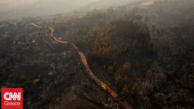 Η πυρκαγιά στον Έβρο μέσα από τα «μάτια» μαθητών – Βραβείο σε ντοκιμαντέρ για τα καμένα