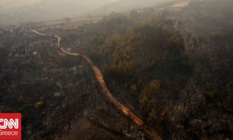 Η πυρκαγιά στον Έβρο μέσα από τα «μάτια» μαθητών – Βραβείο σε ντοκιμαντέρ για τα καμένα