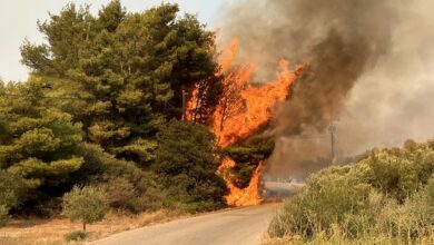 Πυρκαγιά: Οδηγίες προστασίας από την εισπνοή καπνού – στάχτης