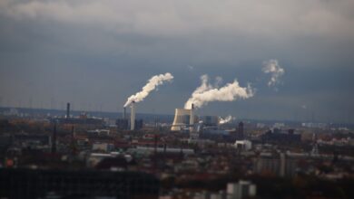 Η Δανία θα επιβάλει φόρο στις εκπομπές άνθρακα από γεωργικές καλλιέργειες