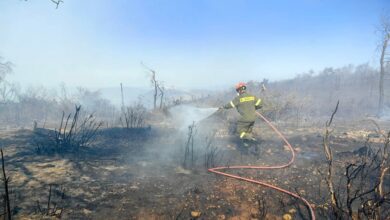 ΕΔΑΣΑ: Στις επάλξεις της δασοπυροπροστασίας με συνέπεια