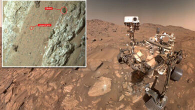 NASA: Βρήκαν σημάδια αρχαίας ζωής στον πλανήτη Αρη, στον βράχο Cheyava