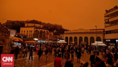 «Η Αθήνα θα γίνει Κάιρο»: Τι λέει περιβαλλοντολόγος στα γερμανικά ΜΜΕ για το καμένο οικοσύστημα