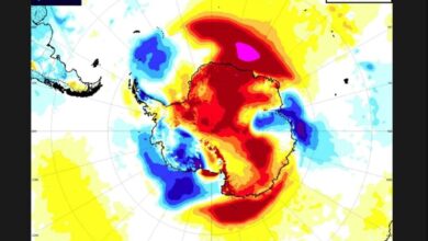 Εφιάλτης: Καύσωνας-ρεκόρ στην Ανταρκτική – Η θερμοκρασία ανέβηκε κατά 10°C