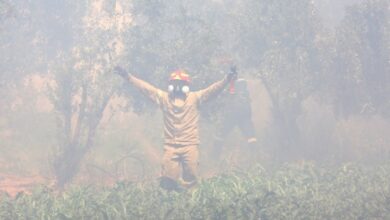 Οδηγίες προστασίας από την έκθεση στον καπνό και τα αιωρούμενα σωματίδια – Πιθανά συμπτώματα και συνέπειες