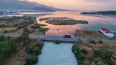 Κραυγή αγωνίας από οικολόγους για τα νεκρά ψάρια στον Παγασητικό