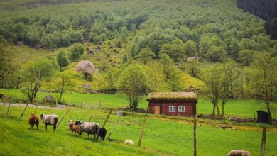 Νορβηγία: Επιστροφή στο… 1800, για μια πιο «πράσινη» ζωή