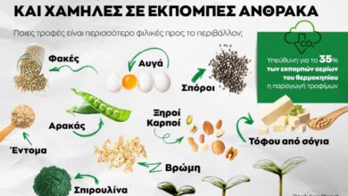 Infographic: Εννέα τροφές πλούσιες σε πρωτεΐνη και με χαμηλές εκπομπές άνθρακα