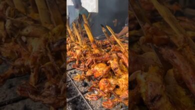 AYAM BAKAR ENAK (PART 1) #holidaywithshorts #ngeshortsbareng