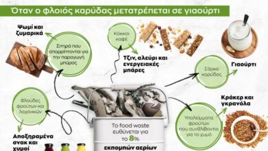 Infographic: Δεύτερη «ζωή» για τα τρόφιμα – Όταν ο φλοιός καρύδας γίνεται γιαούρτι