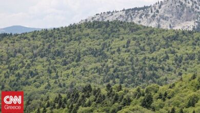 «Μικροί δασοφύλακες εν δράσει»: Ένα ταξίδι των μαθητών στο Φαράγγι της Αγάλης