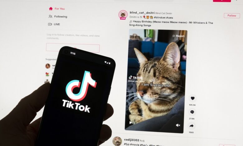 Ειδικοί: Το TikTok είναι ψηφιακή νικοτίνη – Προκαλεί προβλήματα ψυχικής υγείας η χρήση του