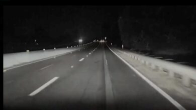 Αυτόνομο Tesla χτυπάει ελάφι και συνεχίζει! (+video)