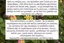 Συγκλονίζει η Χαρά Παππά: «Τους τελευταίους μήνες δυσκολεύομαι στην ομιλία, έχω θολή μνήμη και ταχυκαρδία»