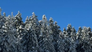 Ιωάννα Τούνη – Δημήτρης Αλεξάνδρου: Η εκδρομή στην Αράχωβα μαζί με τον γιο τους Πάρη