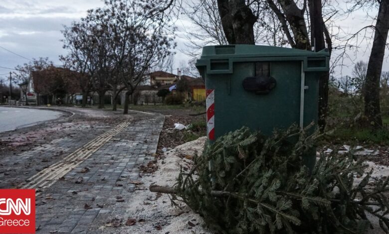 Τα φυσικά χριστουγεννιάτικα δέντρα στον Άλιμο γίνονται λίπασμα