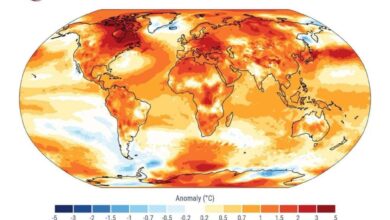 Το 2024 ήταν η πιο ζεστή χρονιά στην Ιστορία