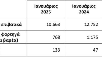 Πώς κινήθηκε η ελληνική αγορά τον πρώτο μήνα του 2025;