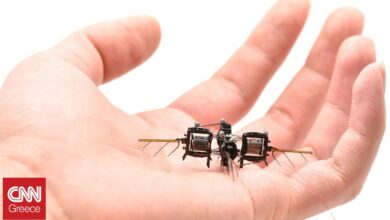 Σμήνη από ρομποτικά έντομα – drones που γονιμοποιούν τα φυτά κατασκευάζει το ΜΙΤ