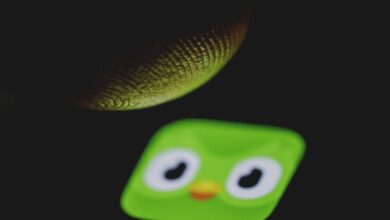 «Πέθανε» η πράσινη κουκουβάγια του Duolingo