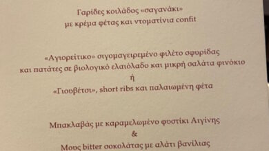 Νικόλαος Ντε Γκρες – Χρυσή Βαρδινογιάννη: Απάκι κοτόπουλο και γαρίδες σαγανάκι στο μενού του pre wedding πάρτι