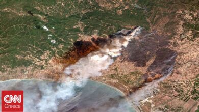 FireSat: Σε τροχιά τέθηκε ο πρώτος δορυφόρος για τον εντοπισμό πυρκαγιών από το διάστημα