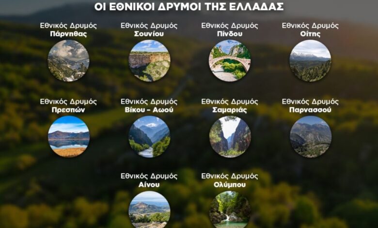 «Πνεύμονες» πρασίνου οι Εθνικοί Δρυμοί της Ελλάδας – Δείτε το Infographic του CNN Greece