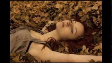 Χαίνηδες – Συνταγές μαγειρικής