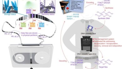 «Κασέτα DNA» αποθηκεύει έως και 1,5 εκατ. φορές περισσότερα δεδομένα από ένα smartphone