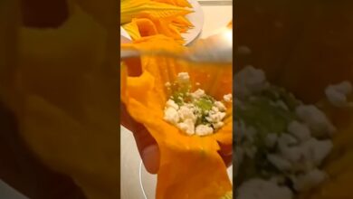 Γεμιστοί Κολοκυθόανθοι!! Ολόκληρη η συνταγή στο κανάλι μας! #recipe #cooking #συνταγέσ #cook
