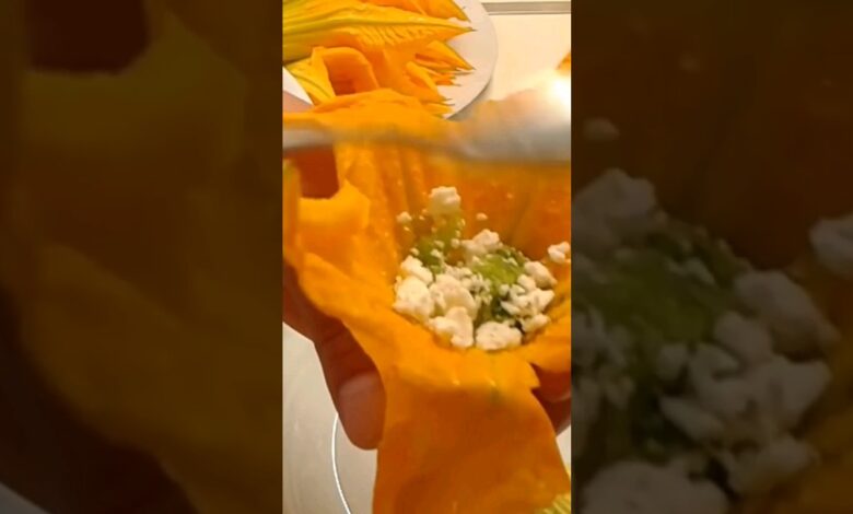 Γεμιστοί Κολοκυθόανθοι!! Ολόκληρη η συνταγή στο κανάλι μας! #recipe #cooking #συνταγέσ #cook