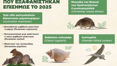 Infographic: Τα είδη της πανίδας που κηρύχθηκαν επισήμως εξαφανισμένα το περασμένο έτος