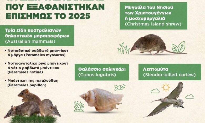 Infographic: Τα είδη της πανίδας που κηρύχθηκαν επισήμως εξαφανισμένα το περασμένο έτος