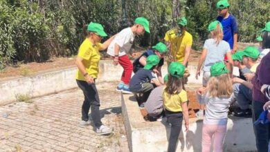 Μικροί μαθητές «πρασίνισαν» με χαρουπιές το προαύλιο του Πνευματικού Κέντρου Αθικίων στην Κορινθία