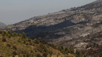 Νatura: Ενστάσεις και «βροχή» σχολίων για το σχέδιο νόμου του υπ. Περιβάλλοντος