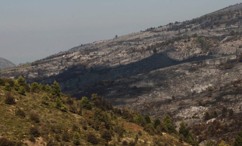 Νatura: Ενστάσεις και «βροχή» σχολίων για το σχέδιο νόμου του υπ. Περιβάλλοντος